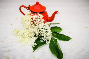 Bright red teapot for brewing elderberry tea in nature. Herbal homemade tea for immunity