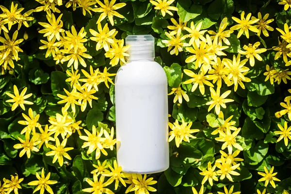 A white bottle of shampoo among fresh Ficaria verna , Ranunculus ficaria L., lesser celandine , pilewort, fig buttercup in nature. Cosmetic bottle, shampoo dispenser product package. Plastic bottle mockup.