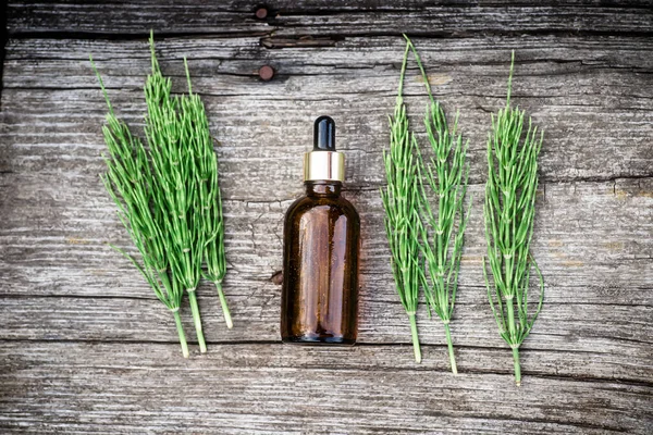 Common Horsetail Medicinal Herb Plant with Distilled Essential Oil Extract and Infusion in a Glass Jug. Also Equisetum Arvense on a wooden vintage table. Glass bottle with drip dispenser with oil