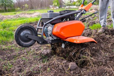 Cultivator close-up during ploughing of the field before planting seedlings. Cultivator cutters entangled in weeds and Elymus repens
