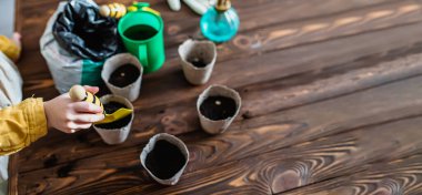 Background for farmers. Yellow spatula with soil for growing a shovel in the hands of a child.