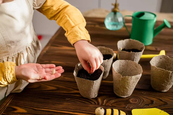 Seeds in a child\'s hand. Help mom plant seeds in peat pots. Green watering can, shovel and peat pots on the table.