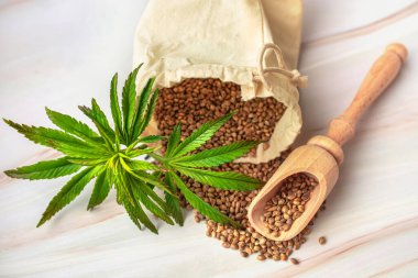 Hemp seeds, ingredients for vegan supplements, CBD products. The concept of growing cannabis for medical and cosmetic purposes. Marijuana in the food industry.
