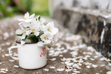 Still life with cup and bouquet of branches with apple blossoms. White petals of flowering trees that fell on concrete.