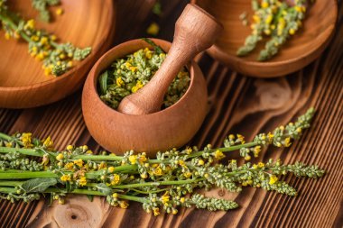 Mortar with ingredients for crushing into powder or paste for the preparation of cosmetics or pigments with Verbascum nigrum, black mullein, dark mullein,