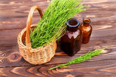 Equisetum, horsetail, snake grass, oil for cosmetology. puzzlegrass, candock extract for alternative medicine used diuretic for edema, tonic, wound healing. help with heart failure