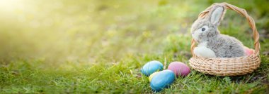 little gray toy Easter bunny in basket on banner. concept Easter egg hunt.
