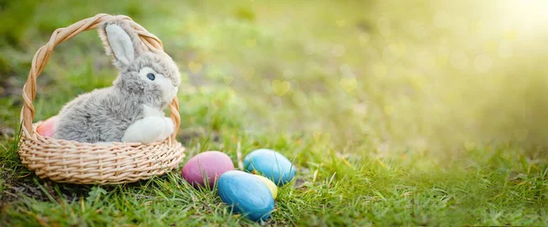 Adorable toy rabbit with Easter eggs. Long banner. Easter egg hunt concept