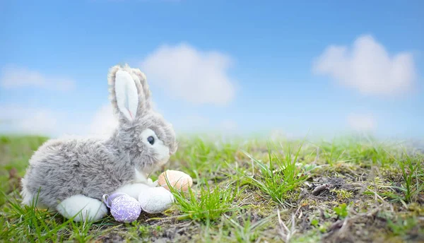 toy rabbit with Easter eggs against a blue sky with clouds. Happy Easter Banner. Easter egg hunt concept.