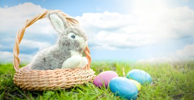 little gray toy Easter bunny in basket on banner. concept Easter egg hunt.