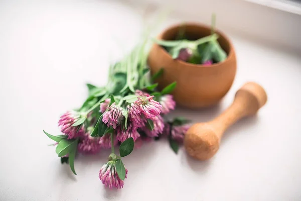 still life with Trifolium pratense, red clover Flowers collected in the meadow in a wooden mortar. Preparation of elixirs or medicines from medicinal herbs by herbalists. alternative medicine. Soft focus.