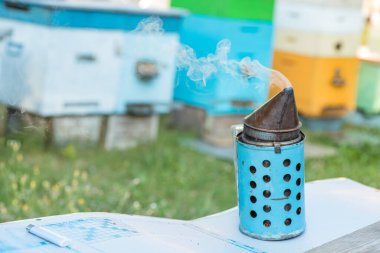 bee smoker against backdrop of apiary with colorful beehives. Smoke from bee smoker is used to calm bees before removing frame.