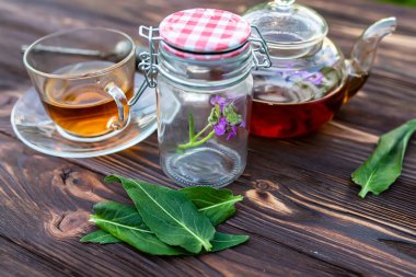 Keeping fresh medicinal herbs in the jar. Matthiola incana, Brompton stock, common stock, hoary stock, ten-week stock, and gilly-flower tea with fresh quotes, which can give an antiseptic effect.