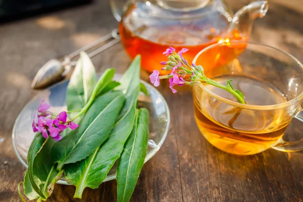 cup of herbal tea with fresh leaves and flowers Matthiola incana, Brompton stock, common stock, hoary stock, ten-week stock, and gilly-flower tea with fresh quotes, which can give an antiseptic effect