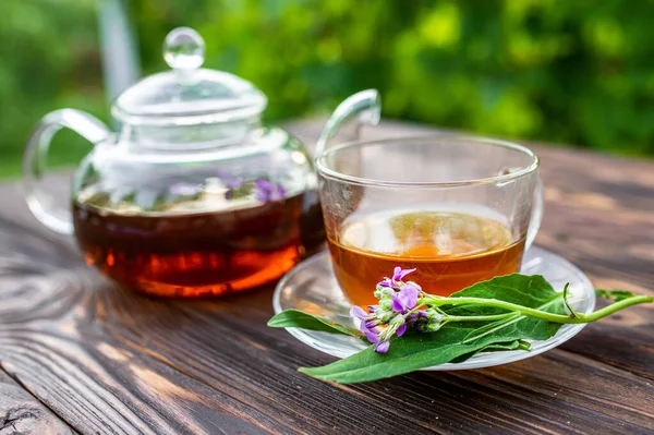 Kettle with herbal tea and fresh leaves Matthiola incana, Brompton stock, common stock, hoary stock, ten-week stock, and gilly-flower tea with fresh quotes, which can give an antiseptic effect.