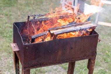 Frames with invasive wax moth larvae burn in flames. Veterinary in beekeeping. Honeybee diseases.