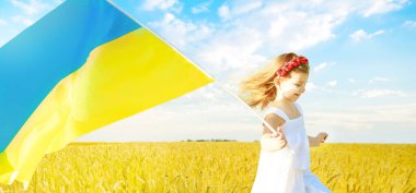 Mavi, Ukrayna bayrağı gibi sarı. Ukraynalı karakter. Olgun sarı buğdaylı tarla. Tarlada buğday başakları. Yumuşak odak