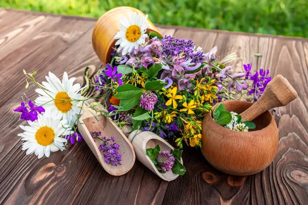 stock image Summer medicinal herbs - St. John's wort, chamomile, clover near wooden mortar. Preparation of medicines from natural plants by herbalists