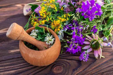 Summer medicinal herbs - St. John's wort, chamomile, clover near wooden mortar. Preparation of medicines from natural plants by herbalists clipart