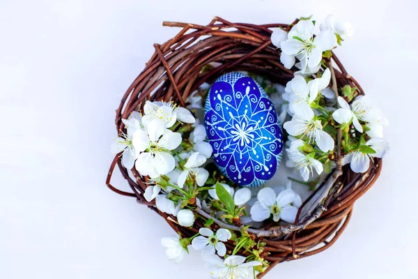Hnízdo Velikonočními Vejci Větvemi Jarních Kvetoucích Třešní Bílém Dřevěném Pozadí — Stock fotografie