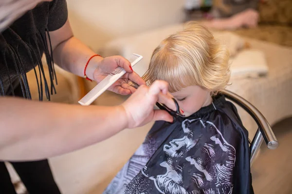 Hair salon at home. A hairdresser combs a childs hair in a beauty salon. Little girl getting a haircut at home