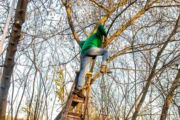 남자는 나무에 올라갔다 근처에 놀이터를 만드는 — 스톡 사진