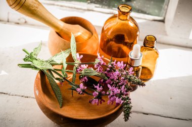 Stachys palustris, bataklık woundwort, palyaçolar woundwort, palyaçolar her şeyi iyileştirir, bataklık çitleri, ya da çit ısırganı, tahta bir tabakta ve eczane şişelerinde. Elexir 'lerin hazırlanmasına hazırlık ve