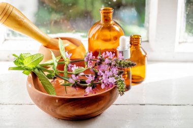 Stachys palustris, bataklık woundwort, palyaçolar woundwort, palyaçolar her şeyi iyileştirir, bataklık çitleri, ya da çit ısırganı, tahta bir tabakta ve eczane şişelerinde. Elexir 'lerin hazırlanmasına hazırlık ve