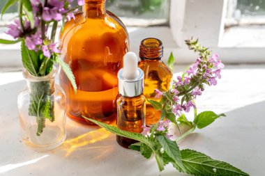 Buket Stachys palustris, marsh woundwort, palyaçolar woundwort, palyaçolar her şeyi iyileştirir, marsh hedgenettle, ya da pencere kenarındaki çit-ısırganı. Kozmetik ve eczacı şişeleri tmedicinal bitkinin yanında.