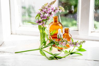 Buket Stachys palustris, marsh woundwort, palyaçolar woundwort, palyaçolar her şeyi iyileştirir, marsh hedgenettle, ya da pencere kenarındaki çit-ısırganı. Kozmetik ve eczacı şişeleri tmedicinal bitkinin yanında.