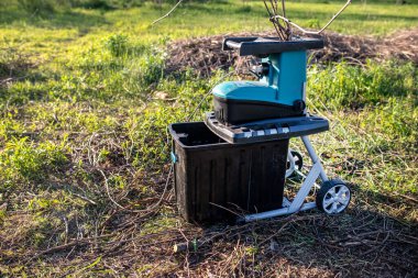 Bahçe öğütücüsü, baharda bahçeyi budadıktan sonra kalan bir yığın kuru dalın yanındaki çimenlikteki ağdan açıldı.