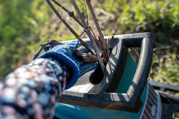 园丁的手把树枝放进花园碎纸机里 春收时砍倒树枝 — 图库照片