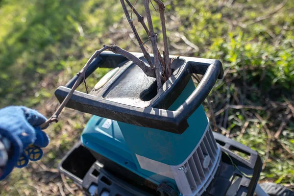 园丁用园丁碎纸机干活时 他的手拿着树枝 春天园艺 春天在花园里干活的概念 — 图库照片