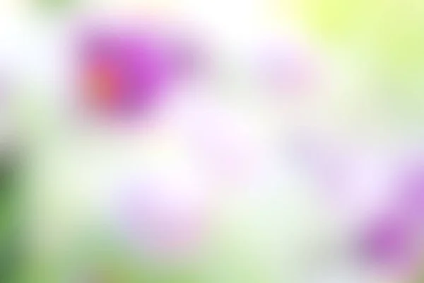 Абстрактний Дефокусний Градієнтний Кольоровий Фон Фіолетовому Зеленими Весняними Відтінками Творчих — стокове фото