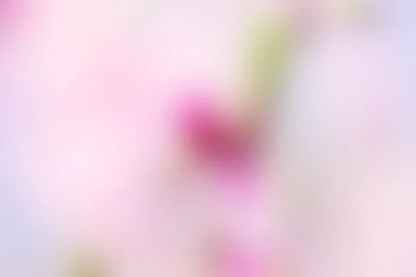 Абстрактний Дефокусний Градієнтний Кольоровий Фон Рожевих Білих Весняних Відтінках Творчих — стокове фото