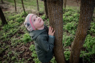 Doğayla uyum içinde. Kız doğayla uyum içinde, ağaca sarılıyor ve çevresini çevreleyen bir bütünlük hissediyor. Ağaç terapisi konsepti, Shinrin-yoku..