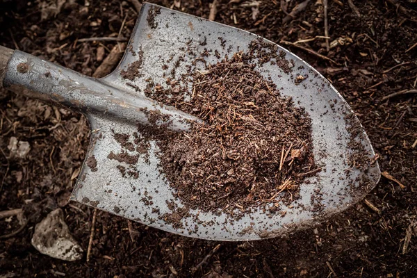 心形刀片上的新鲜堆肥 将有机废物回收成堆肥 在花园里用作肥料 — 图库照片