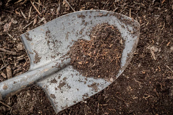 有新鲜堆肥的普通铲子 将有机废物加工成堆肥供花园使用 — 图库照片