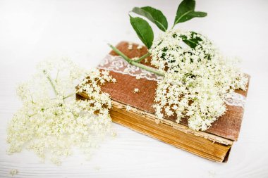 Spiritual travels with a book of self-care spells with recipes for spa salons made of elderberry juice. Elderberry flowers on a white wooden background near a vintage book.