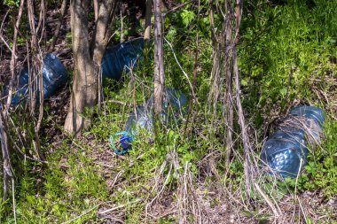 Ormanın yeşilliklerine saçılmış plastik şişeler küresel atık krizinin kesin bir hatırlatıcısı olarak hizmet veriyor. İnsanlık için sorumluluk alma ve gezegenimizi koruma zamanı.