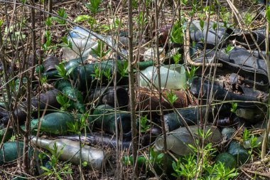 Ormanda çürümeye bırakılan cam şişeler, doğanın yok edilmesi ve acil çevre koruma ihtiyacı anlamına geliyor. Dünya Temizlik Günü 'nde dünyamızı temizlemek.