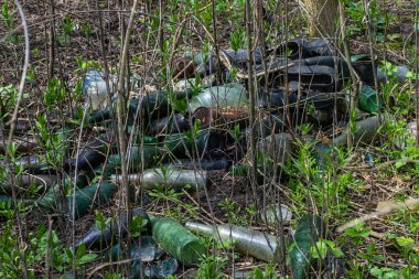 Ağaçların arasında, insan ihmalkârlığının yol açtığı hasarın bir sembolü olan cam şişeler atılıyor. Yeşil gezegenimizi korumak için farkındalığı arttırma ve geri dönüşümü teşvik etme zamanı..