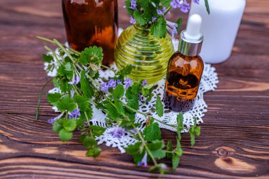 Glechoma hederacea, yer sarmaşığı, solungaç, sürünen Charlie, alehoof, tuntoof, kedi ayağı, tarla merhemi ve kaçan robin, sürünen Jenny. Vücut bakımı için kozmetik yağ şişesi.