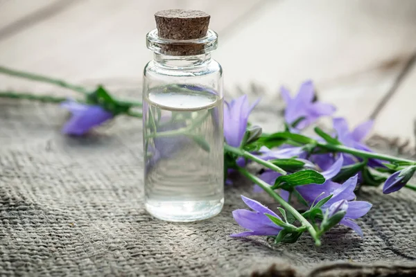 Alternatif tıptaki iyileştirici özellikleriyle değerlendirilen Campanula rotundifolia çiçekleri, alternatif bir tedavide kullanmak üzere ahşap bir tabakta dinleniyor ve bitkibilimci tarafından kullanılacak bir demet çiçek.