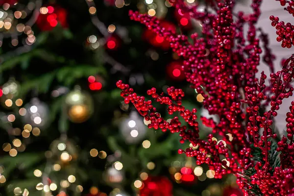 Vánoční Pozadí Červenými Bobulemi Větvi — Stock fotografie