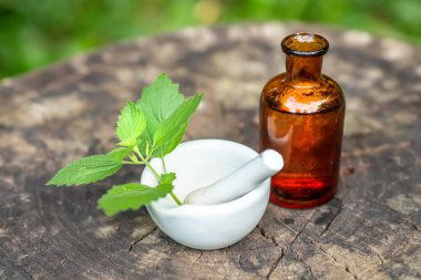 Lamium albüm, beyaz ısırgan otu ya da beyaz ölü ısırgan otu ilaç için eczane gereçleri şişesinin yanında, siyah camdan yapılmış pantalon, şifalı otların tentürünü hazırlamak için