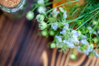 Nigella arvensis, çalılıktaki şeytan, tahtadan havanda aşk, tıbbi kavanozdaki kurumuş çiçeklerin yanında, tohumlardan siyah kimyon yağı yapmak için tıpası olan.