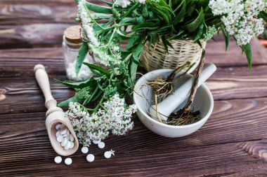 Valerian tablets with sedative properties. Pharmaceutical jar with pills on a wooden table. Cooking Valerian Root in a Mortar for Herbalism Elixirs. Soft focus