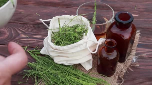 Herbalist Ties Bag Dry Horsetail Grass Ready Use Non Raditson — Stock Video