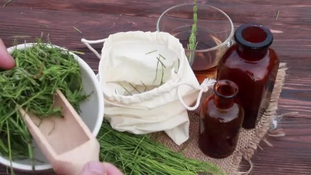 Herbalist Derrama Grama Seca Cavalinha Morteiro Para Preparar Uma Tintura — Vídeo de Stock